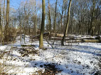 De Panne in de sneeuw (België)